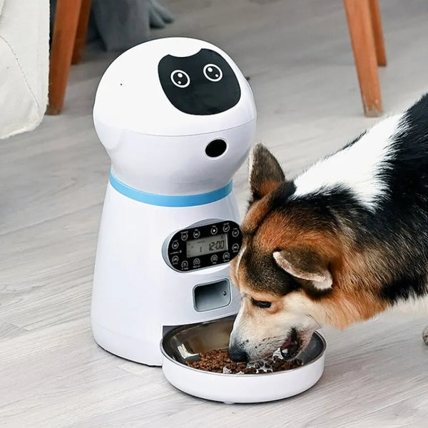 Alimentador Automático Para Pet com Controle Remoto