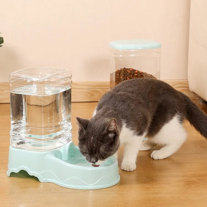 Alimentador Gatos e Cães e Bebedouro 3.8L