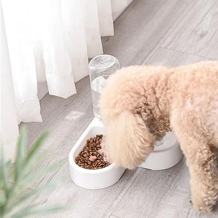 Alimentador com Bebedouro Automático 2 em 1 para Pet