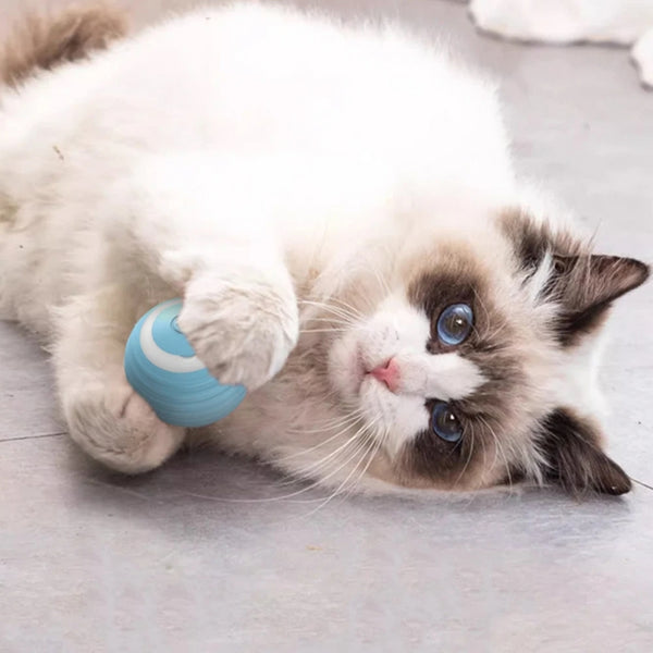 Bola Inteligente Para Gatos