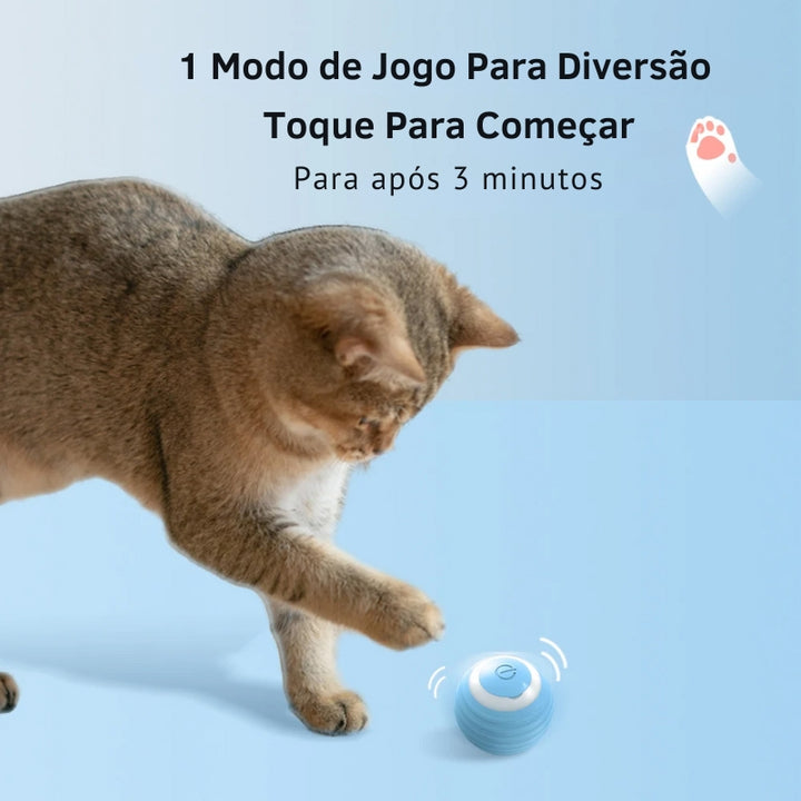 Bola Elétrica Para Gatos