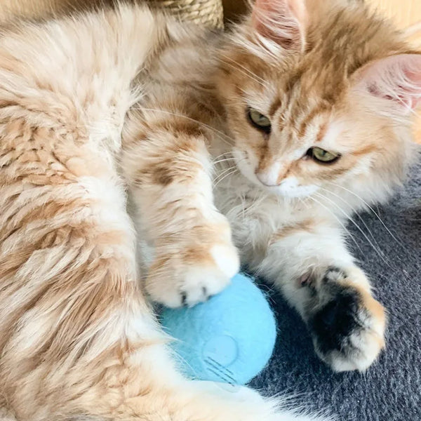 Bola de Pelúcia Interativa Brinquedo Para Gato