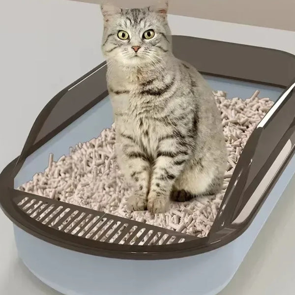 Caixa de Areia de Gato à Prova de Respingos