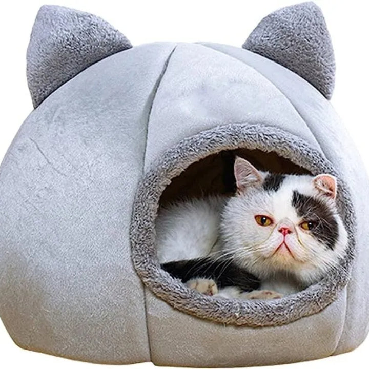 Cama Para Pet 