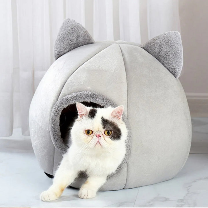 Cama Luxo 