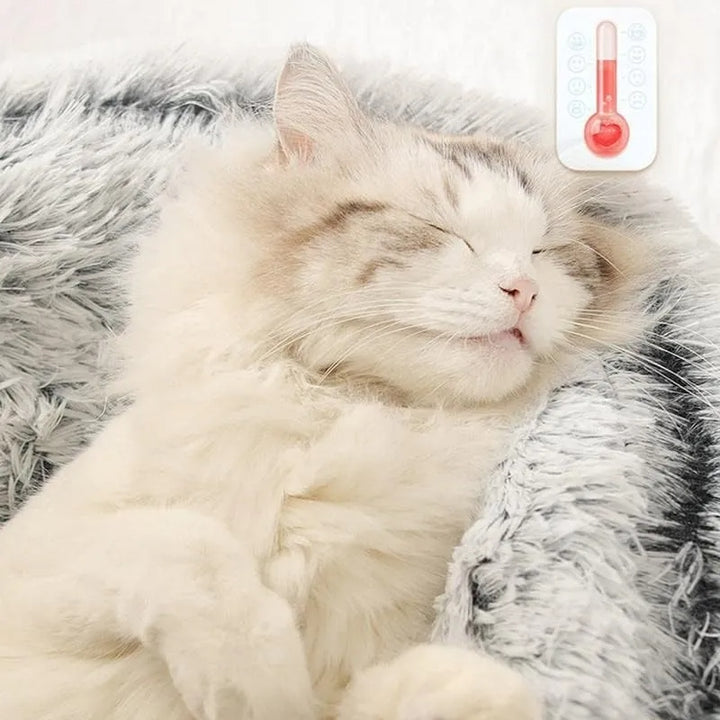 Cama Estilo Cesta para Gato 