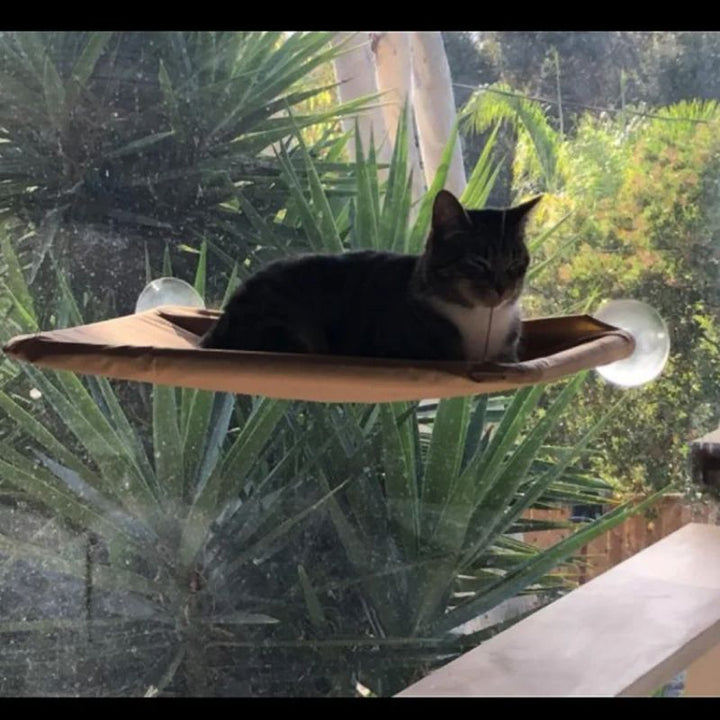 Cama Suspensa Para Gatos