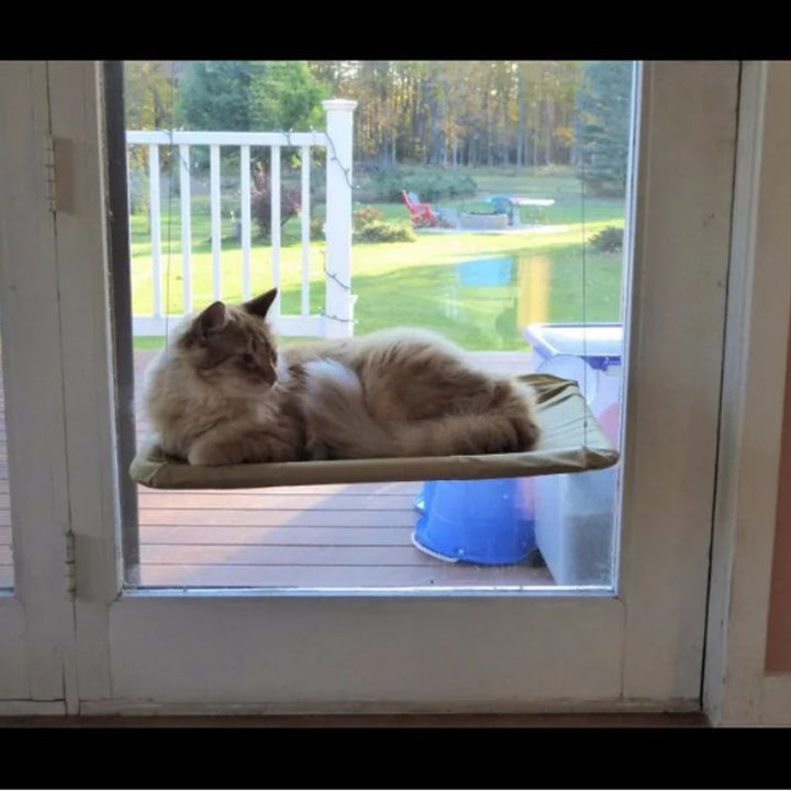  Cama Para Gatos