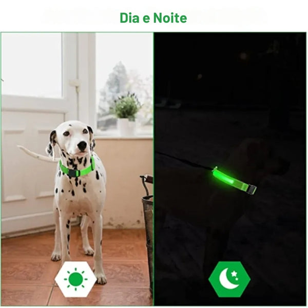 Coleira Led Recarregável Para Cachorro