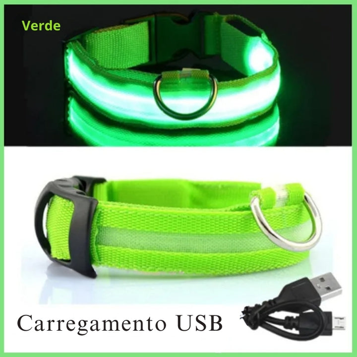 Coleira Led Recarregável Para Cachorro Verde