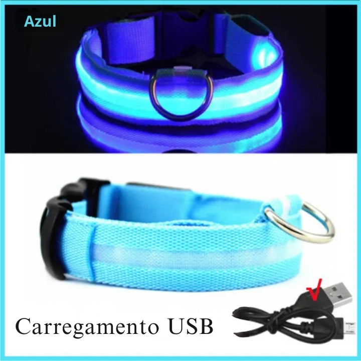 Coleira Led Recarregável Para Cachorro Azul