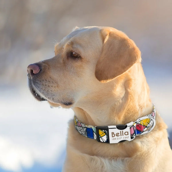Coleira Personalizada Cachorro de Nylon