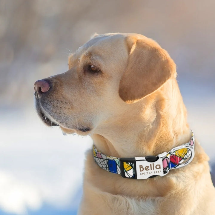 Coleira Personalizada Cachorro de Nylon