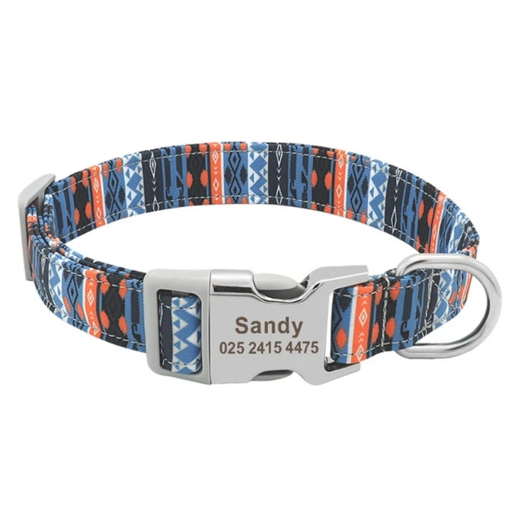 Coleira Personalizada Cachorro Sandy