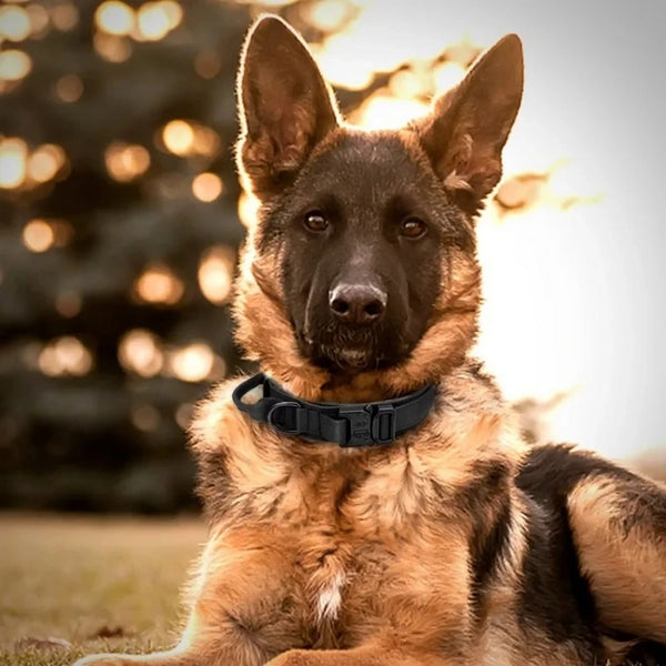 Coleira para Cachorro Grande Tática Militar