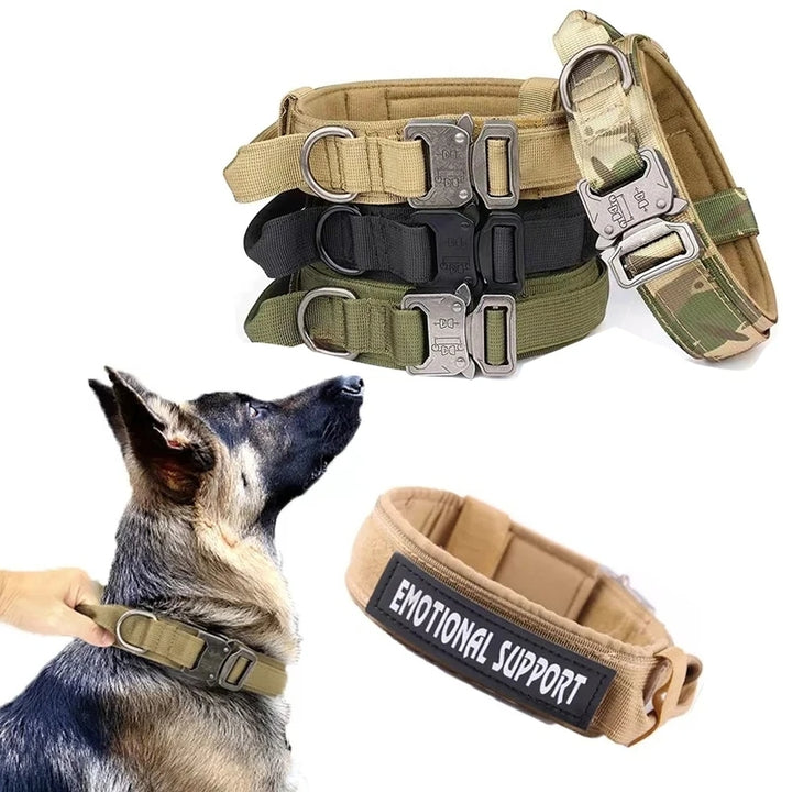 Coleira para Cachorro Grande 