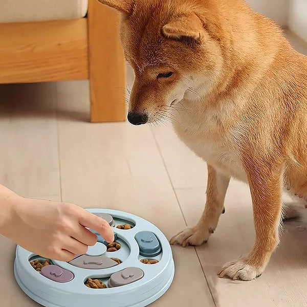 Comedouro Interativo Para Cachorro  05