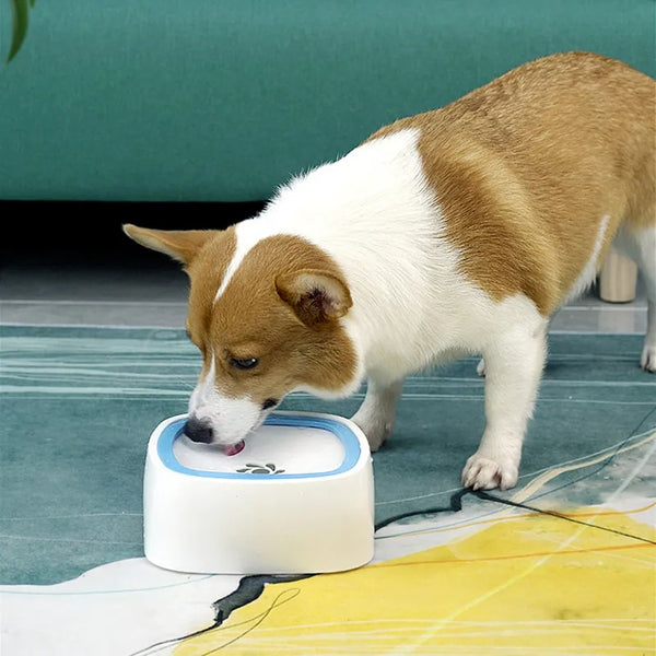 Dispenser de Água Flutuante para Pet