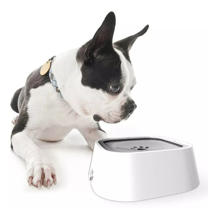 Dispenser de Água Flutuante para Pet 02