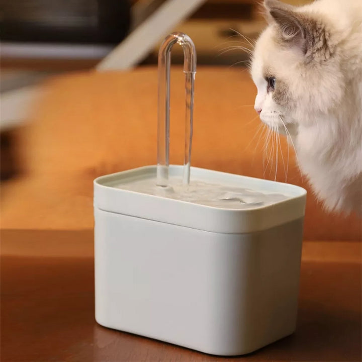 Filtro de Água Para Gatos
