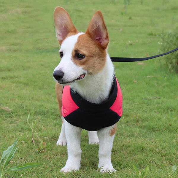 Jaqueta Acolchoada Impermeável com Zíper para Cachorro