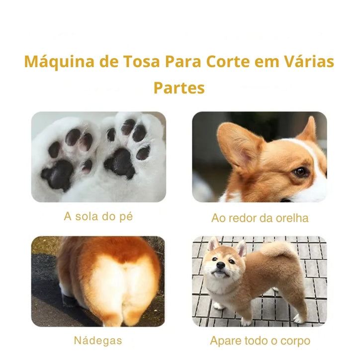 Máquina Elétrica de Tosa Recarregável Para Cachorro 02
