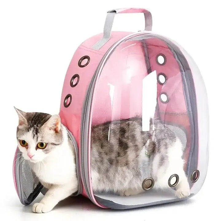 Mochila Transparente Para Gato 