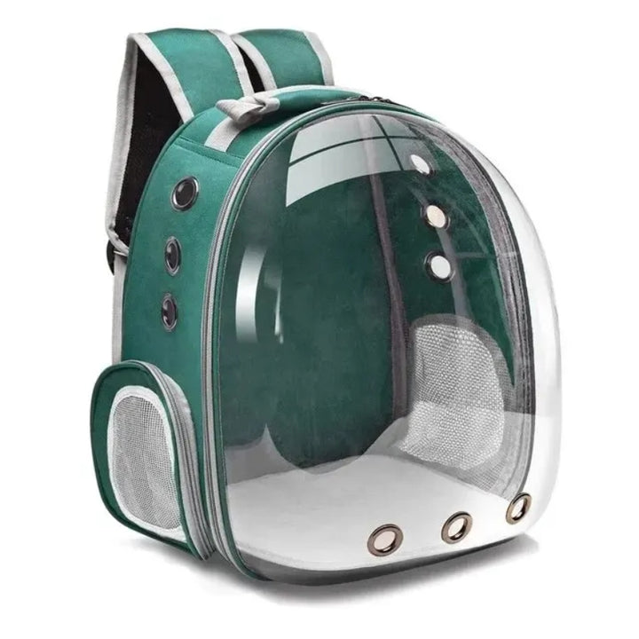 Mochila Transparente para Transportar Gato  Verde