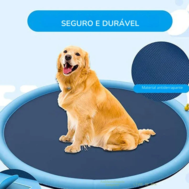 Piscina Pet Inflável