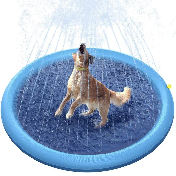 Piscina Para Cachorro Inflável