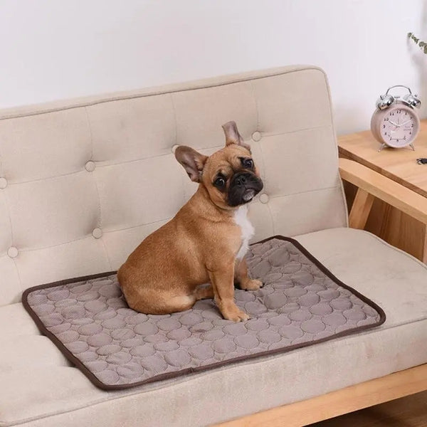Tapete de Resfriamento Lavável Para Pet